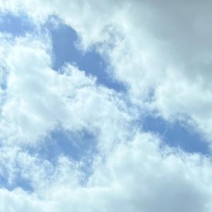 Meet your Posher, Ethan